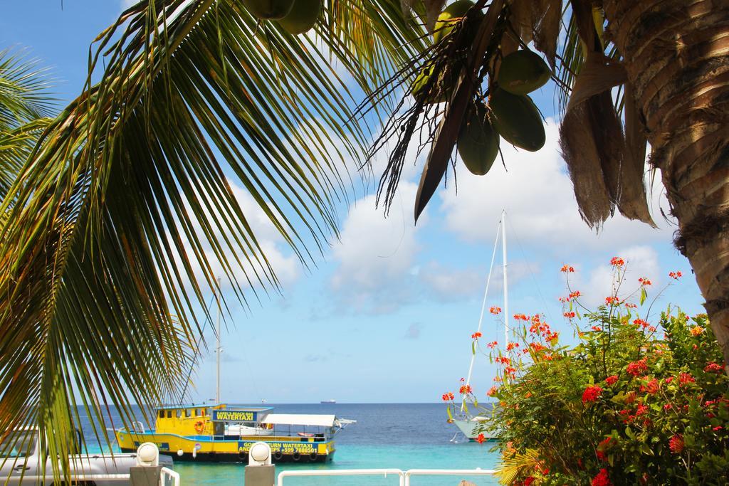 Bonaire Seaside Apartments ภายนอก รูปภาพ