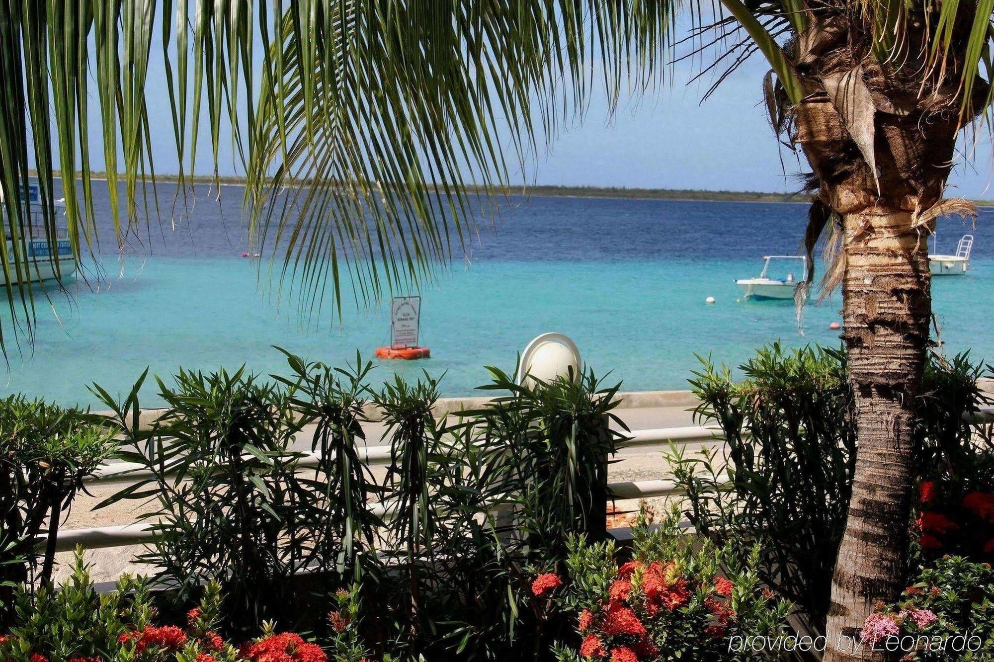 Bonaire Seaside Apartments สิ่งอำนวยความสะดวก รูปภาพ